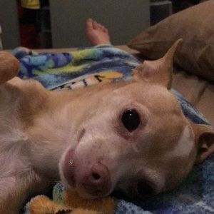 Meet your Posher, Tatyana